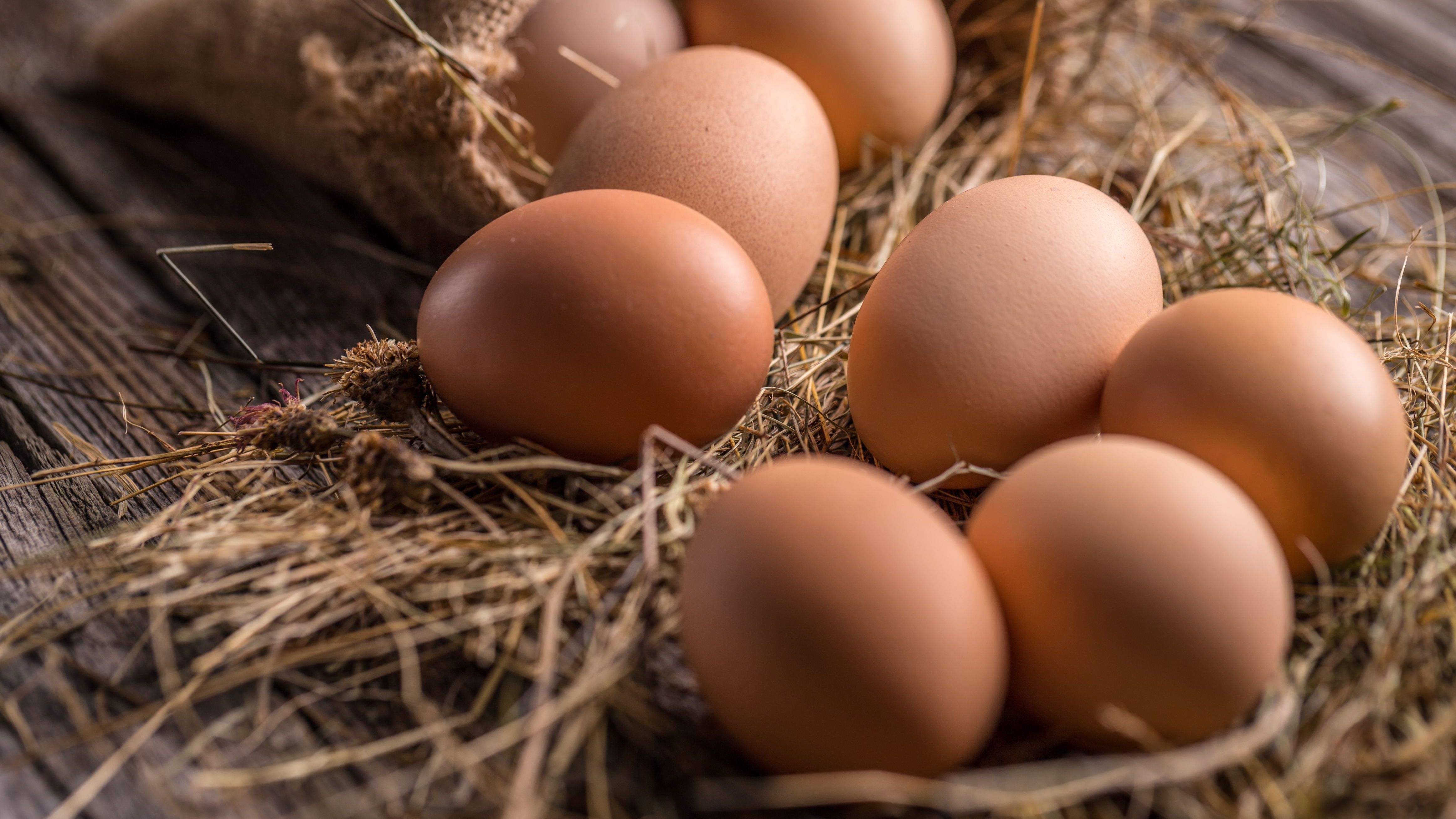 Bei richtiger Lagerung halten auch frische Eier in ihrer Schale deutlich länger durch.