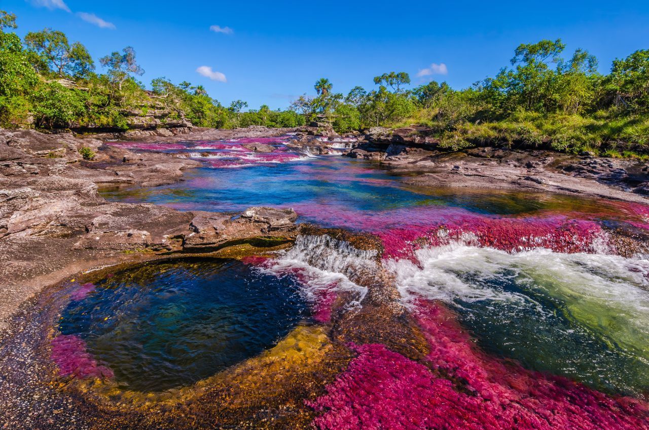 Auf diese bunte Natur-Schönheit sind die Kolumbianer:innen besonders stolz. Der Fluss "Caño Cristales" im Nationalpark Serrania de la Macarena wird auch "flüssiger Regenbogen" genannt. Jedes Jahr zwischen Juli und Dezember erblüht ein farbenprächtiger "Teppich" aus Wasserpflanzen, der dem Gewässer seinen besonderen Look verleiht.