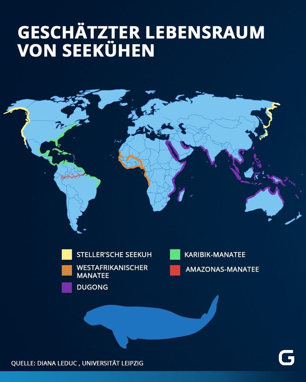 Wo leben die Seekuh-Arten weltweit? Wir zeigen wir, über welche Gebiete sich ihr Lebensraum erstreckt. 