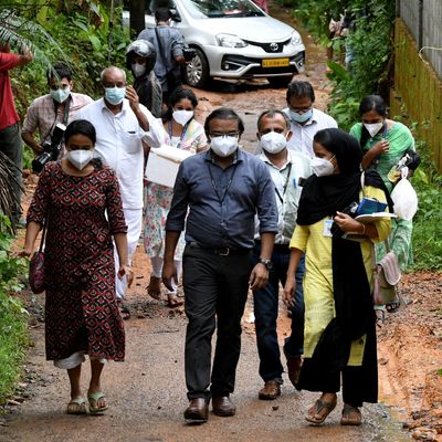 Mitglieder eines medizinischen Teams des Kozhikode Medical College tragen Proben von Areca-Nüssen und Guavenfrüchten, um Tests auf das Nipah-Virus durchzuführen.