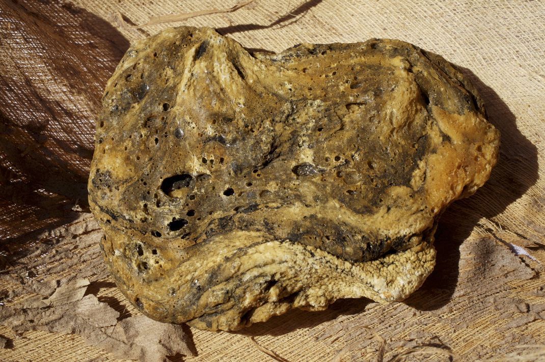 Ein Brocken Ambra, der am Strand der Tuamotu-Inseln (Französisch-Polynesien) gefunden wurde.
