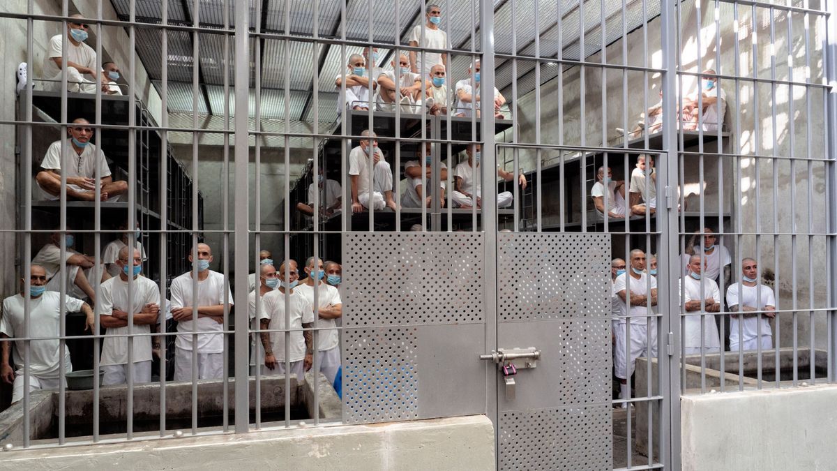 Ein US-Gericht hat die von Präsident Trump initiierten Abschiebungen von Gang-Mitgliedern per Kriegsgesetz nach El Salvador gestoppt. 