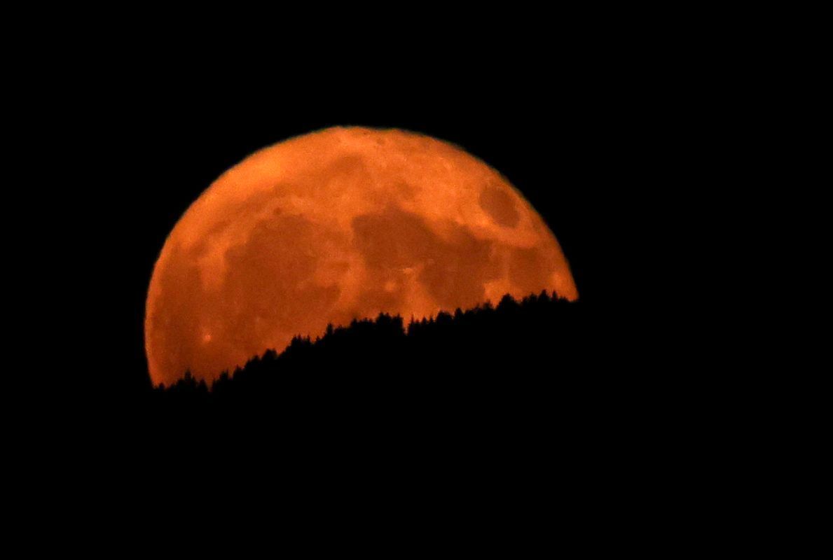 In Bernbeuren (Bayern) geht der Erdbeermond über einem Bergwald auf. Übrigens entstand diese Bezeichnung nicht aufgrund seiner roten Färbung, ...