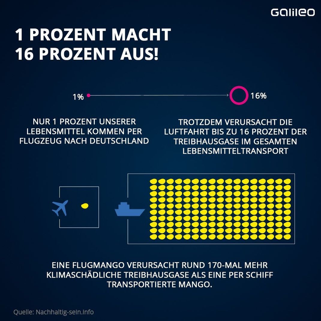 So beeinflusst der Transport die Klimabilanz.