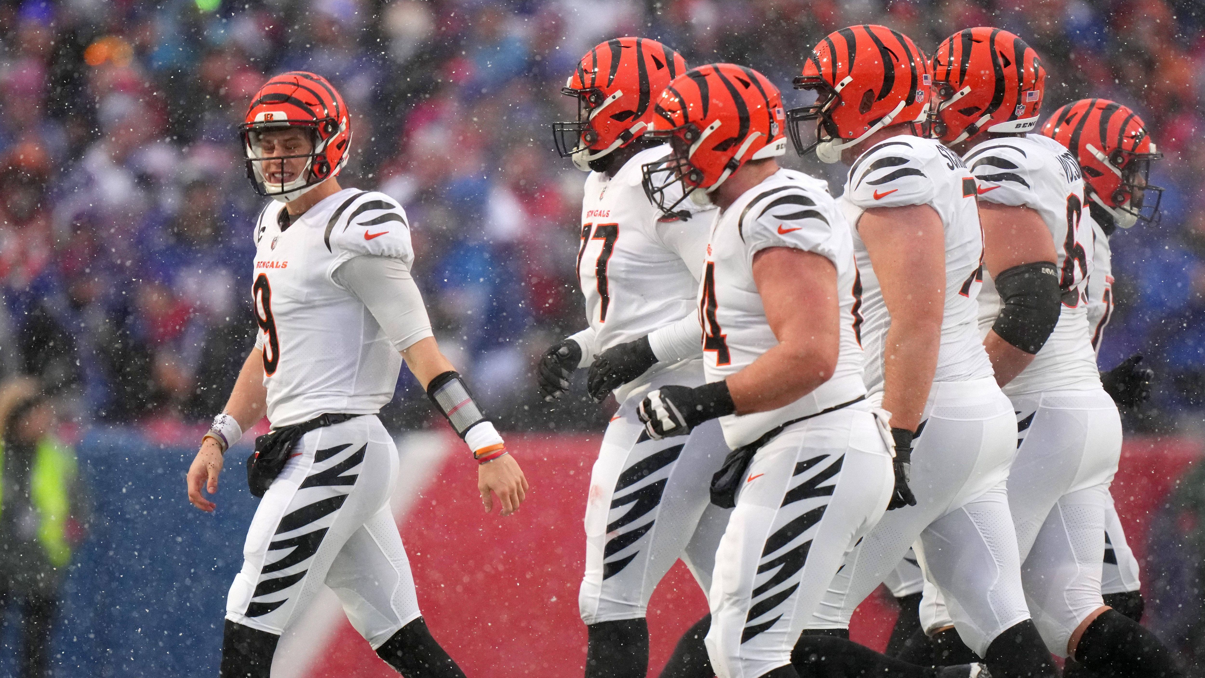 <strong>Platz 22 (geteilt): Cincinnati Bengals</strong><br>Playoff-Teilnahmen in Prozent: 28,57 Prozent<br>Anzahl der Playoff-Teilnahmen: 16<br>Gründungsjahr: 1968<br>Saisons: 56