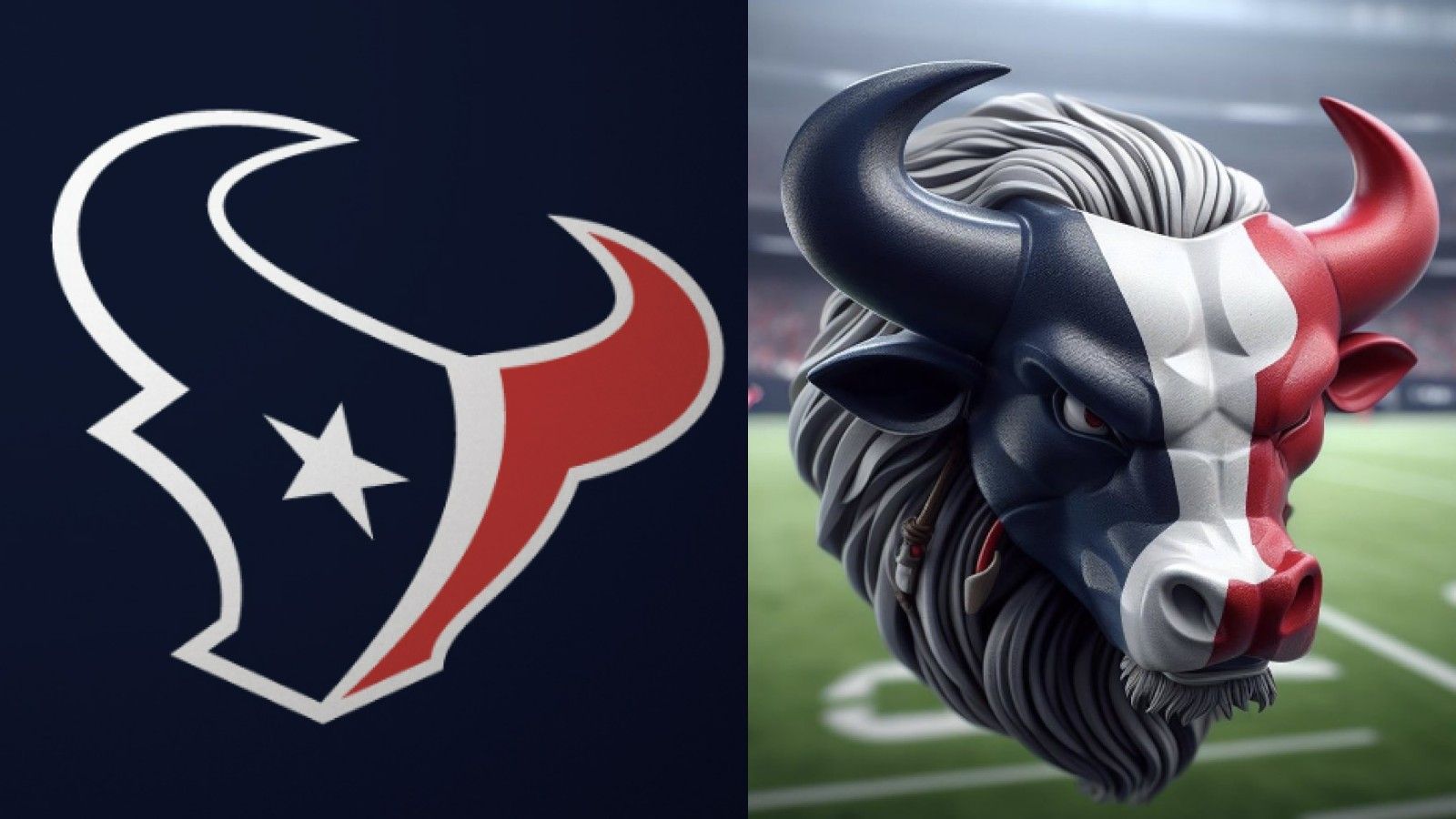 <strong>Houston Texans</strong>