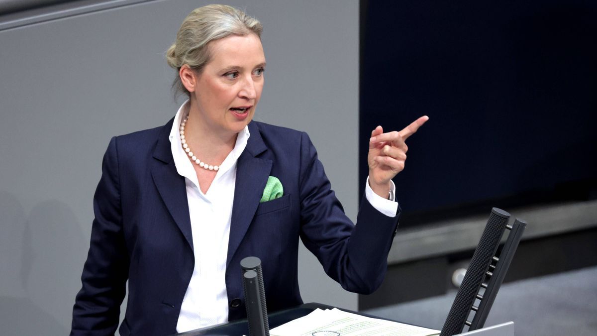 Weidel in Ungarn