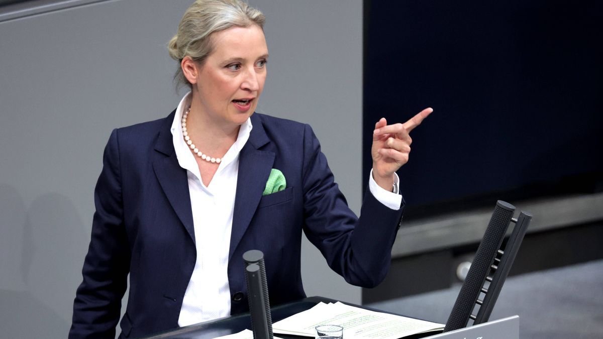 Weidel in Ungarn