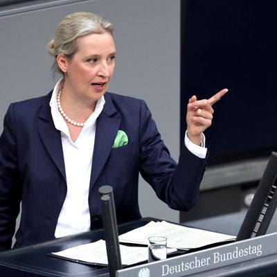 Weidel in Ungarn