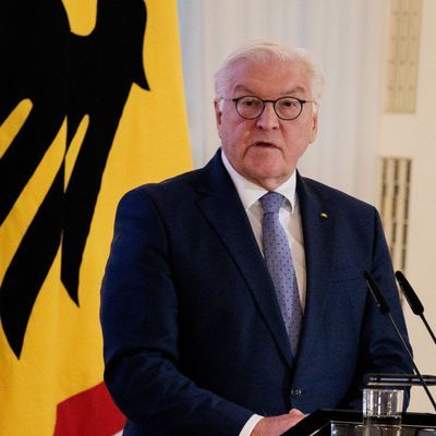 Bundespräsident Steinmeier im Schloss Bellevue