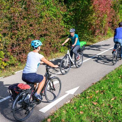 Würde eine Helmpflicht im Straßenverkehr Sinn machen?