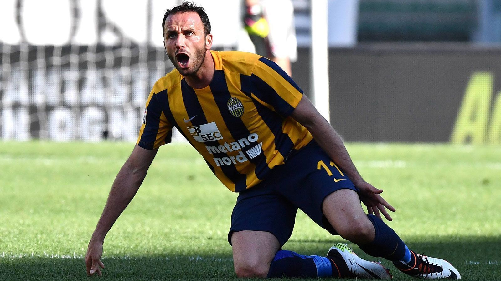 
                <strong>Platz 5: Hellas Verona (24 Spiele ohne Sieg)</strong><br>
                Liga: Serie A (Italien) - Zeitraum: 24. Mai 2015 bis 31. Januar 2016 - Im Anschluss abgestiegen? Ja! (28 Punkte, Platz 20)
              