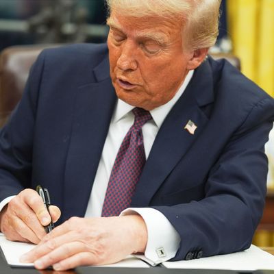 US-Präsident Donald Trump hat den umstrittenen Influencer Nick Adams zum Botschafter in Malaysia ernannt. 