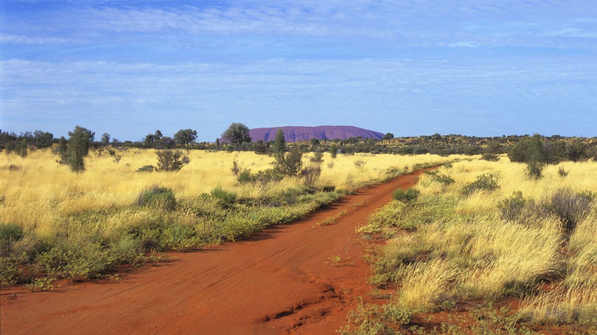 Landschaft in Australien, Outback, Australien 44965304