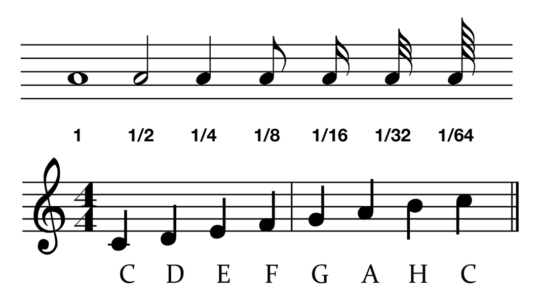 Verschiedene Notenlängen (oben) und Tonhöhen (unten).