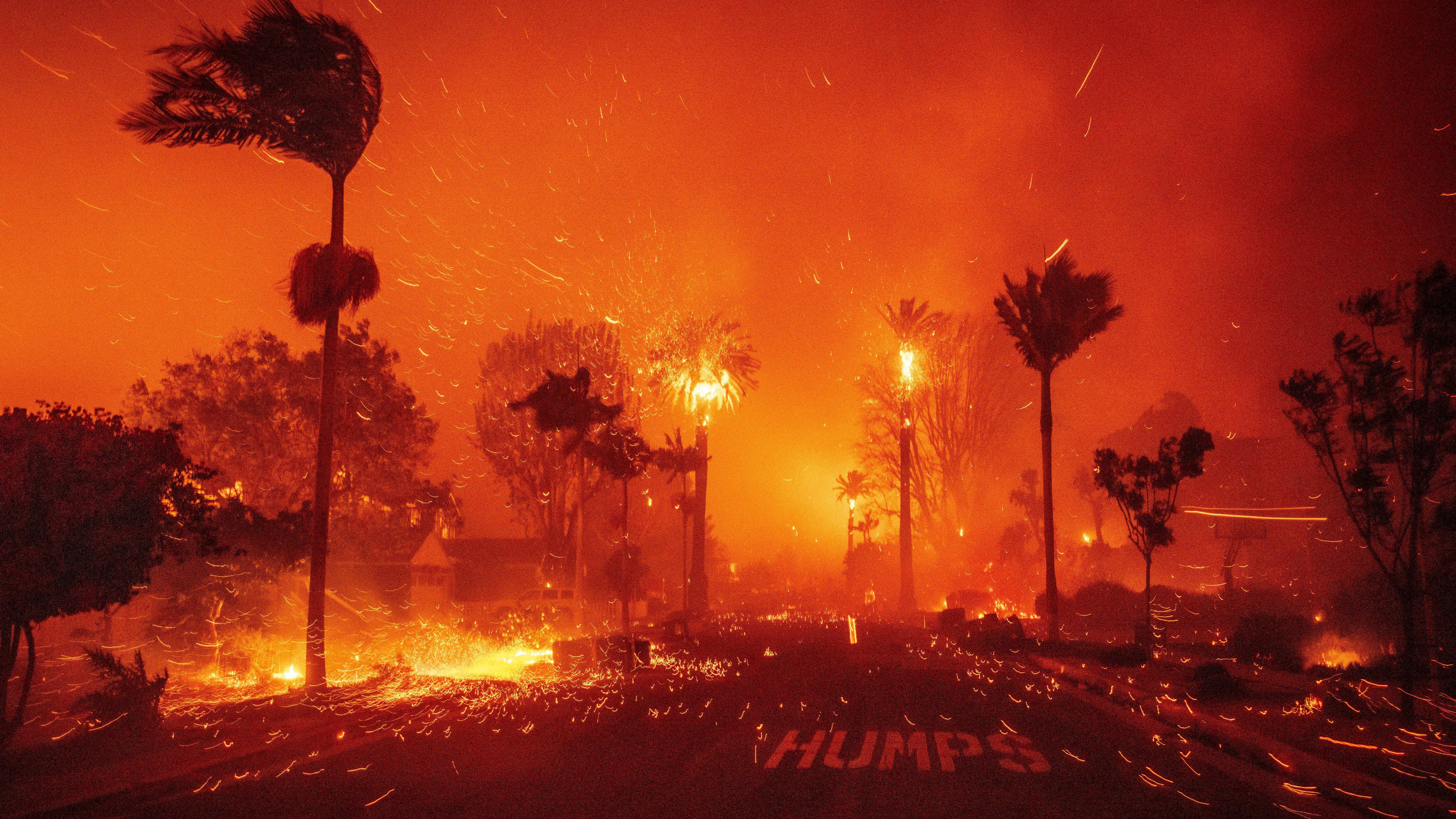 Das Palisades-Feuer wütet inmitten starker Winde im Stadtteil Pacific Palisades von Los Angeles.