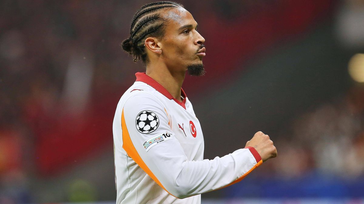 Sane