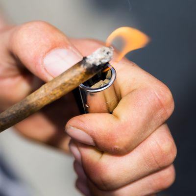 Cannabis-Legalisierung droht das Aus