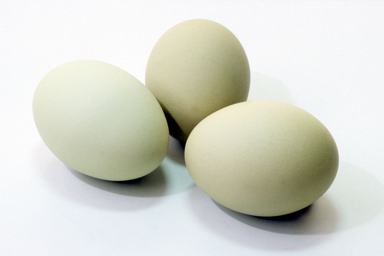 Grün-Ei: Nein, das sind keine Ostereier. Es gibt "Grünleger", die Hühnerrasse Araucana. 