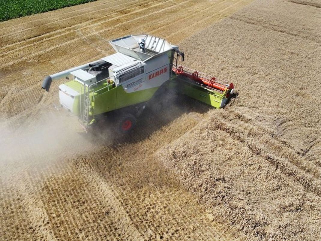 Klimafreundliche Ernährung: Der Wille ist da, aber es fehlt das Wissen