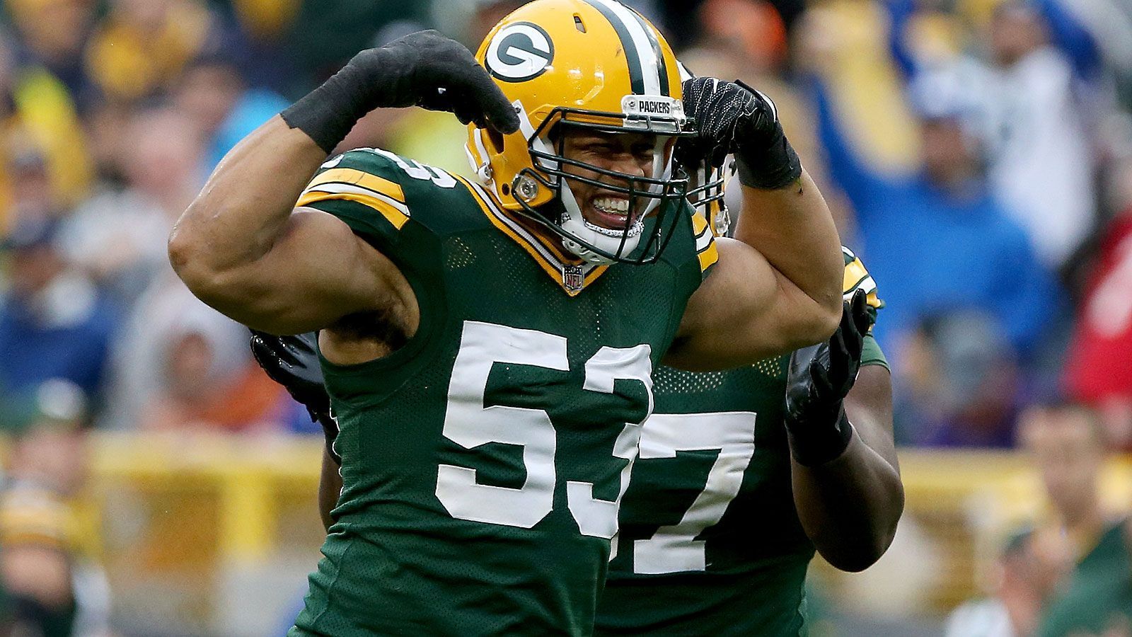 
                <strong>Nick Perry</strong><br>
                Position: Outside LinebackerVorheriger Klub: Green Bay PackersIn der NFL seit: 2012Verdienst 2018: 6.937.500 Dollar
              