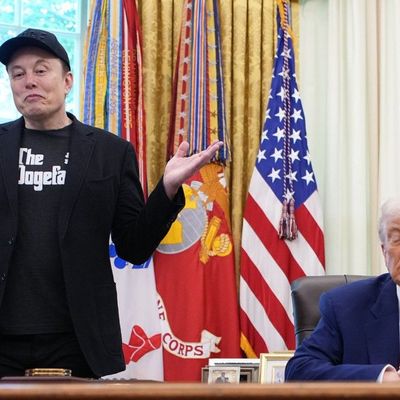 Musk legt sich mit Donald Trump an