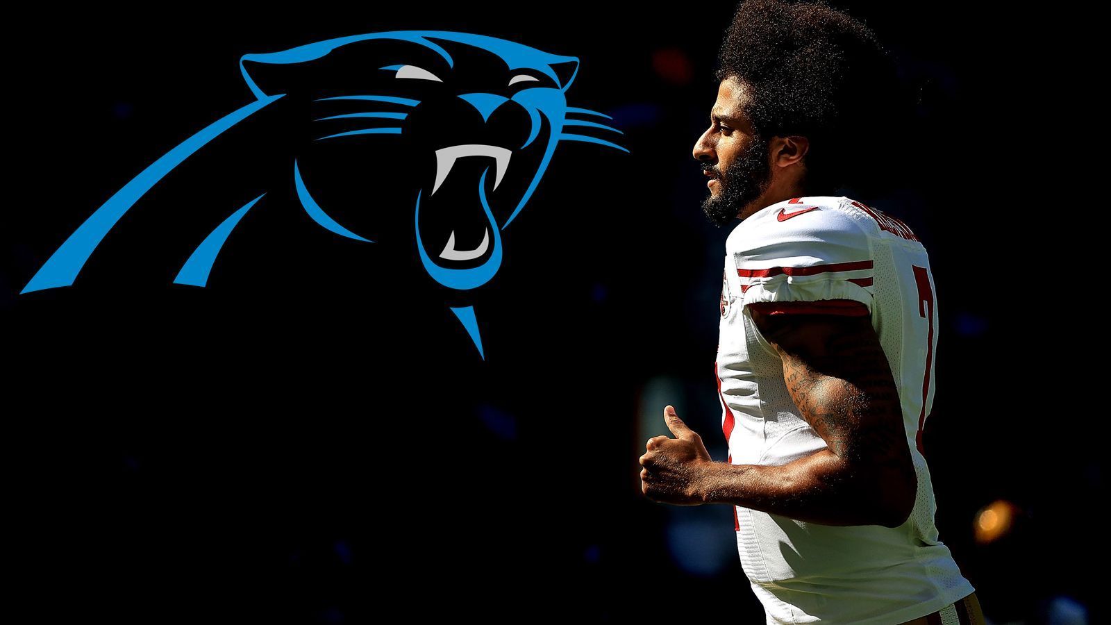 
                <strong>Platz 6: Carolina Panthers</strong><br>
                Wettquote: 15:1
              