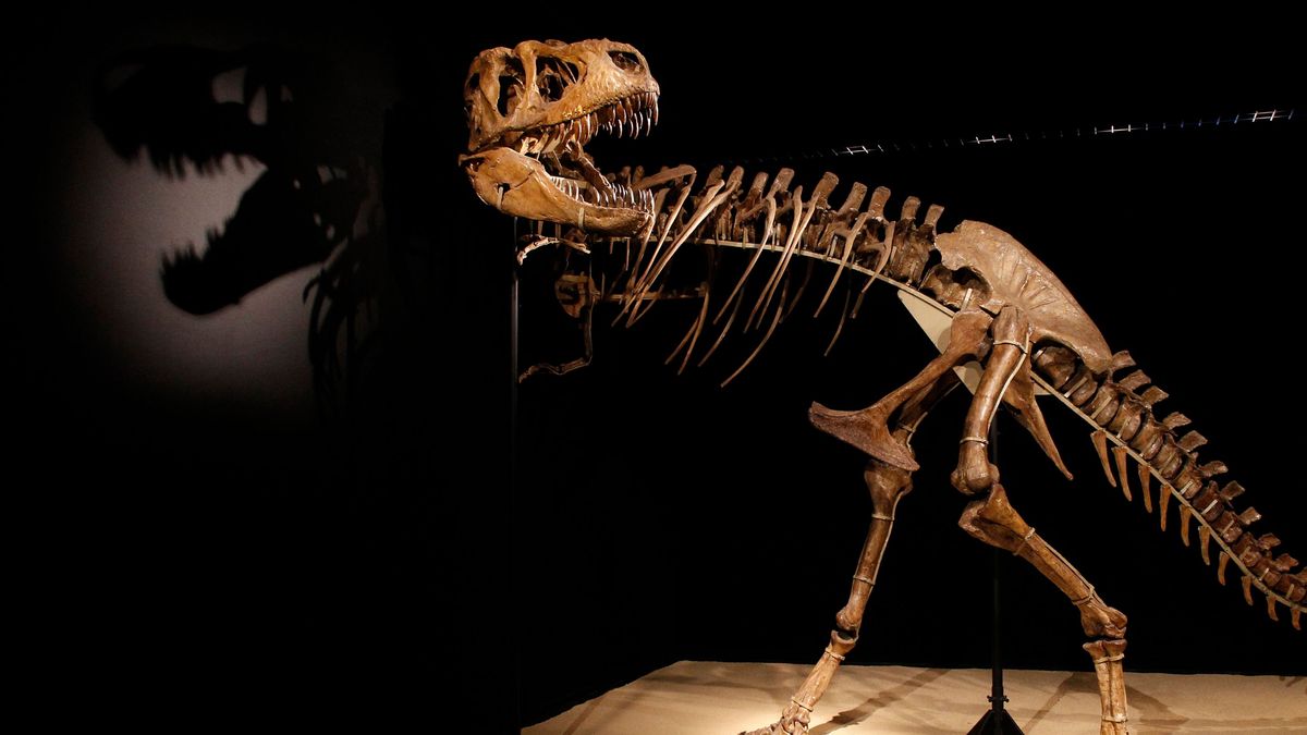 Dinosaurier - vor 66 Millionen Jahren sind sie plötzlich ausgestorben.
