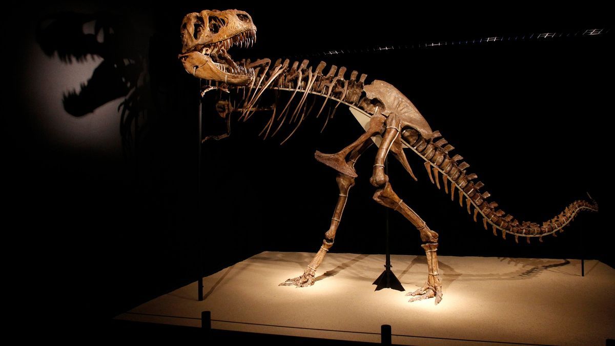 Dinosaurier - vor 66 Millionen Jahren sind sie plötzlich ausgestorben.