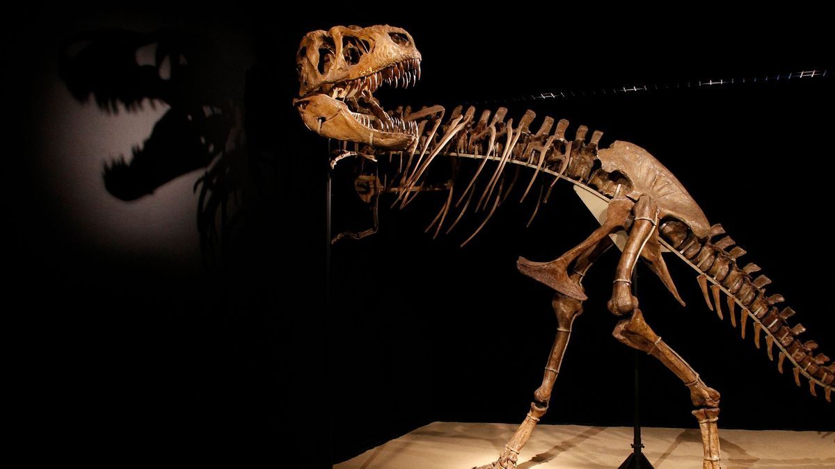 Dinosaurier - vor 66 Millionen Jahren sind sie plötzlich ausgestorben.