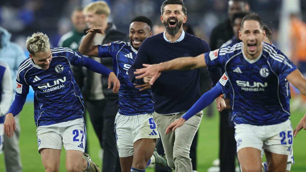 FC Schalke 04 v SV Darmstadt 98 - 2. Bundesliga