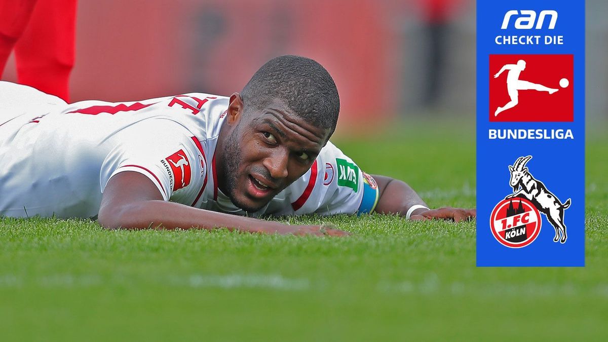 Der 1. FC Köln im ranCheck
