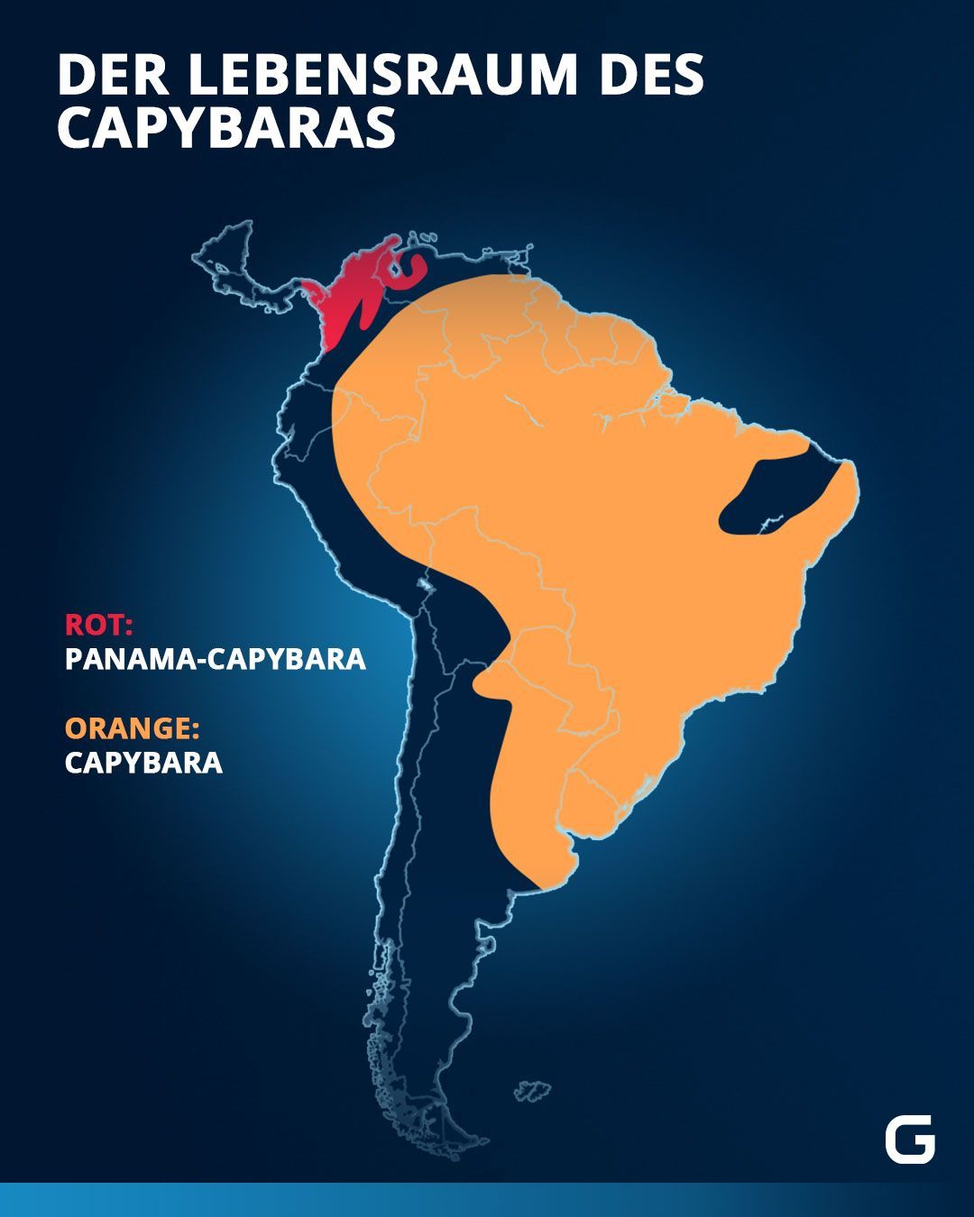 Hier lebt das Capybara in Südamerika. 