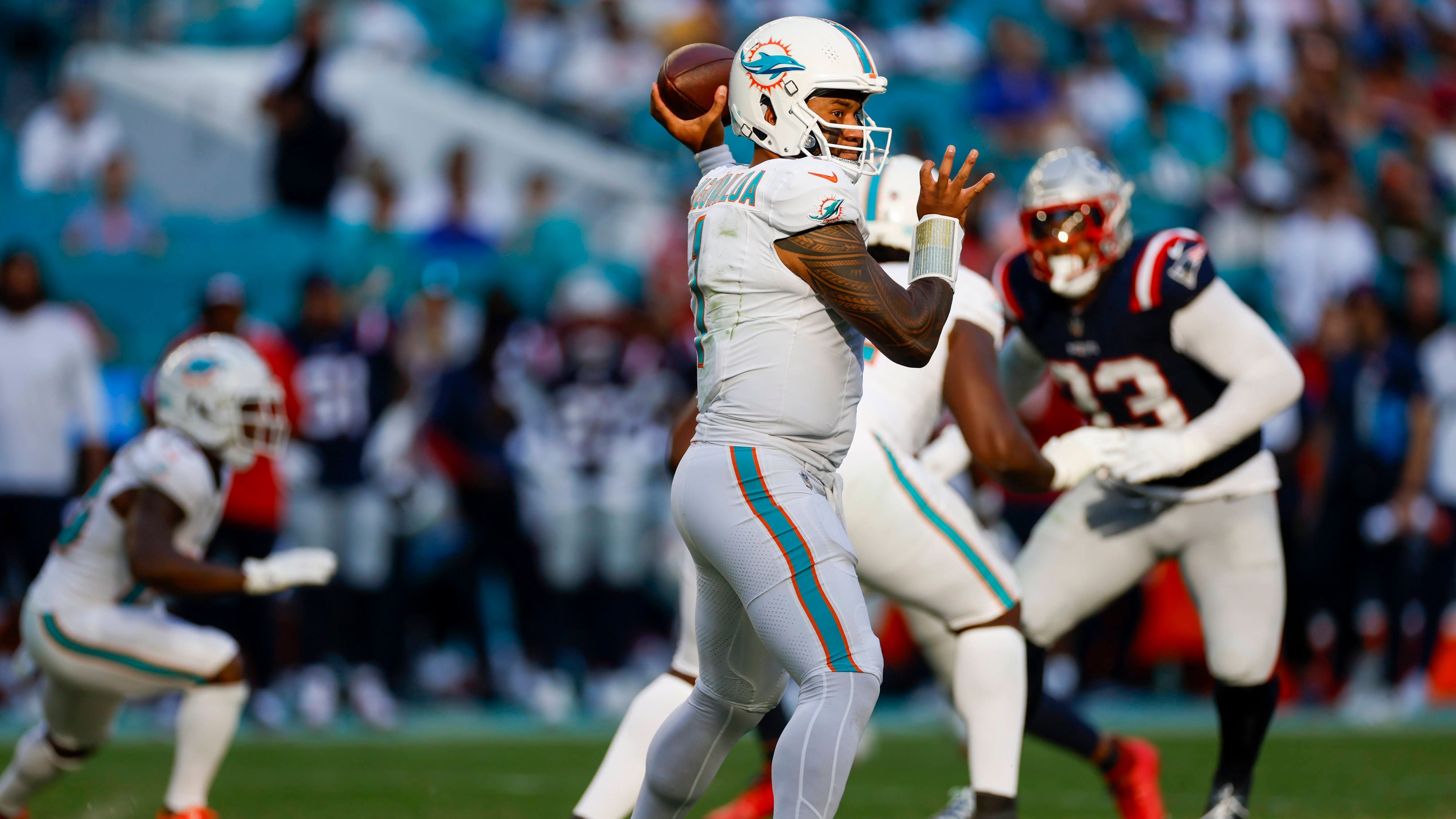 <strong>Platz 18: Miami Dolphins</strong>&nbsp;<br>Playoffs: 14 Prozent<br>Division-Titel: 0 Prozent<br>First-Round-Bye: 0 Prozent<br>Super-Bowl-Sieg: unter 1 Prozent