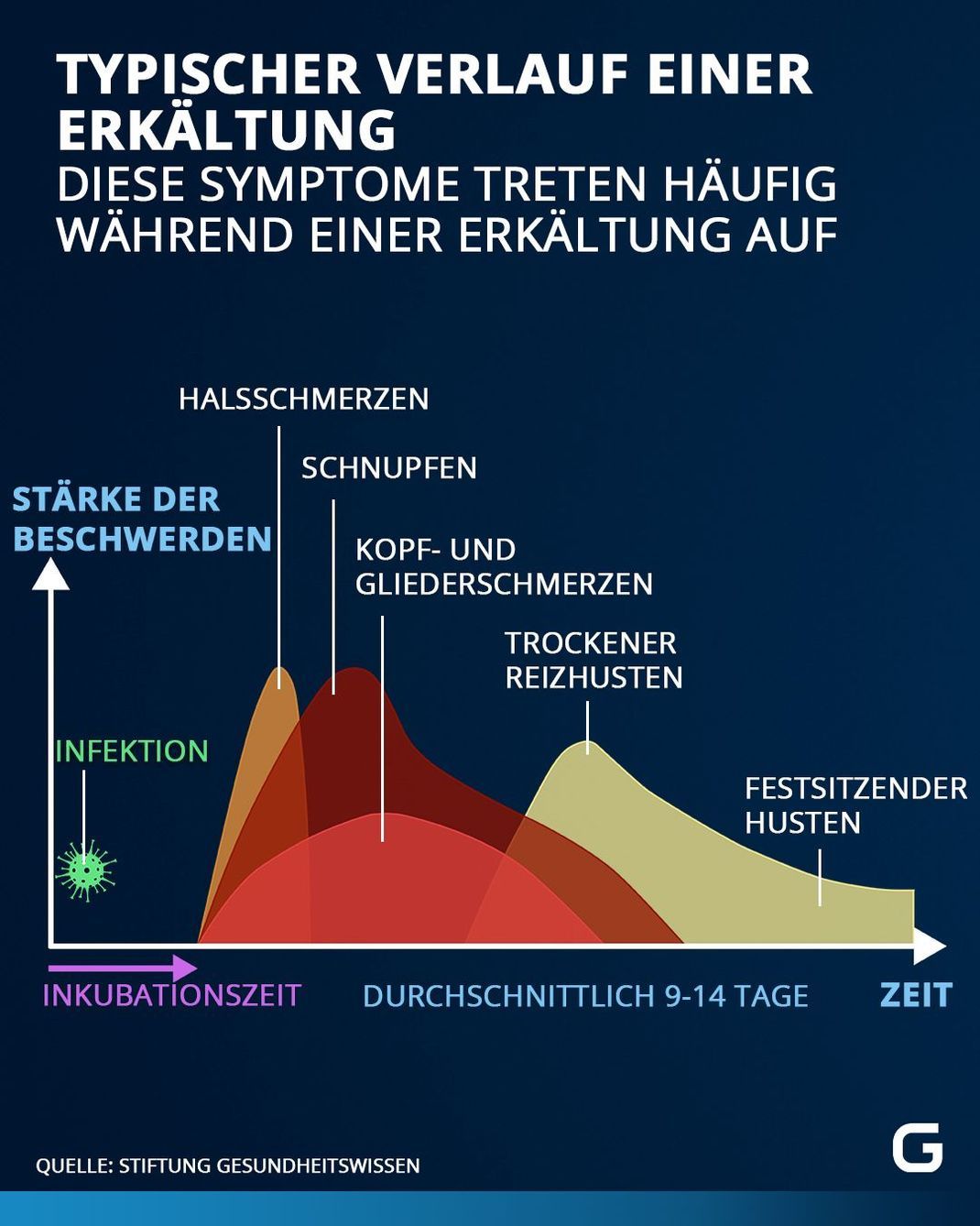 Eine Erkältung entsteht nicht durch Kälte, sondern wird durch eine Virusinfektion ausgelöst.