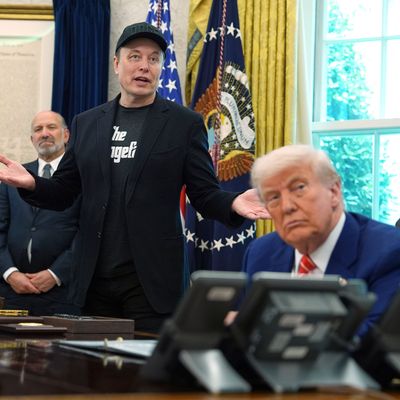 Tech-Milliardär Elon Musk hat sich gegen ein geplantes Gesetz von US-Präsident Donald Trump gewandt.