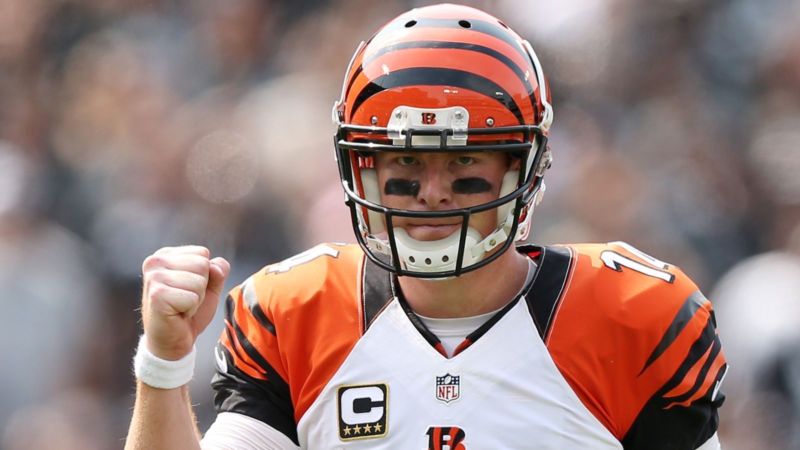 
                <strong>Cincinnati Bengals</strong><br>
                Quote für das Erreichen der Playoffs: 7,50
              