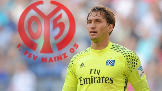 
                <strong>Rene Adler</strong><br>
                Neuer Verein: 1. FSV Mainz 05Alter Verein: Hamburger SVAblösesumme: ablösefrei
              