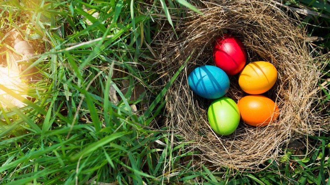 Nachhaltig: Ostereier natürlich färben – So geht’s!