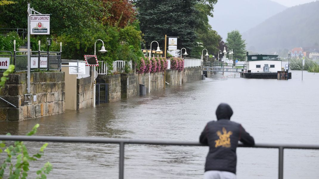 15. September 2024: Die Elbe ist in Bad Schandau in der Sächsischen Schweiz über die Ufer getreten.