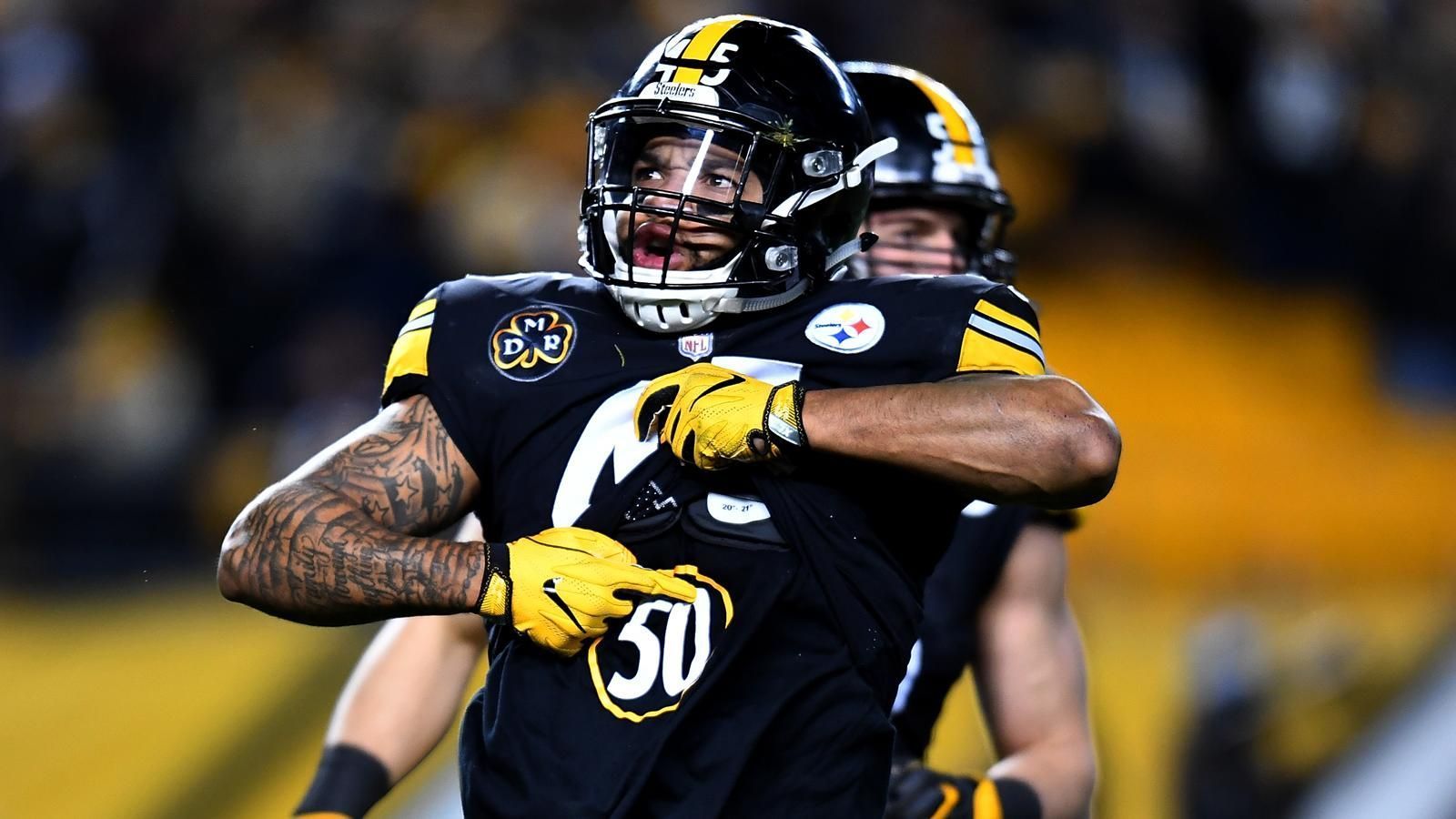 
                <strong>Special Teamer: Roosevelt Nix (Pittsburgh Steelers)</strong><br>
                 Stimmen
              