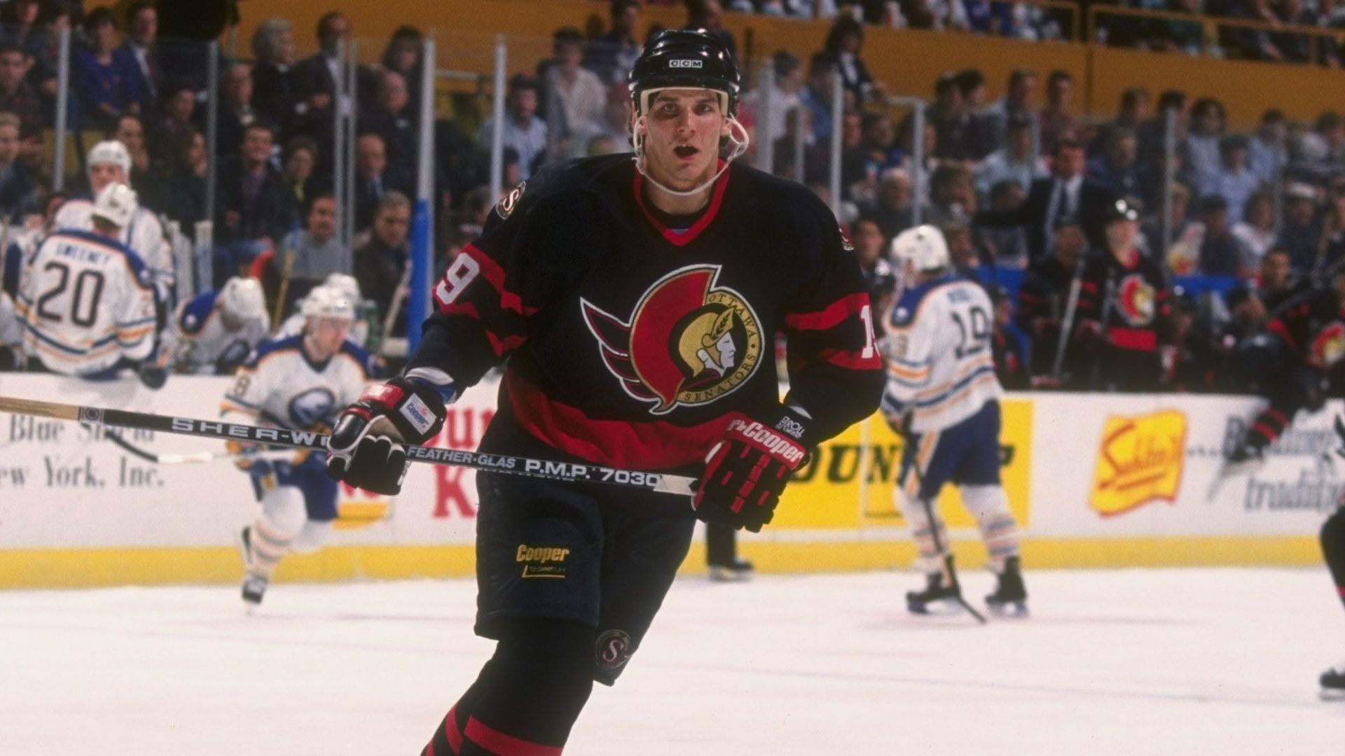 
                <strong>Meiste Auswärtsniederlagen in Serie: Ottawa Senators</strong><br>
                Probleme in fremder Halle hatten die Ottawa Senators in der Spielzeit 1992/93. Sage und schreibe 38 Spiele in Serie verloren die Kanadier auf fremdem Eis. Da können nur die Washington Capitals mithalten, die 18 Jahre zuvor 37 Partien hintereinander in der Fremde verloren. 
              