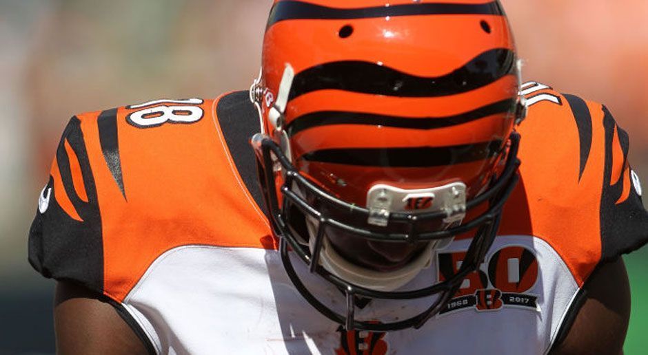 
                <strong>Cincinnati Bengals </strong><br>
                Die Bengals waren die letzten Jahre ein Stammgast in den Playoffs. Von der Saison 2011 an erreichten sie fünf Mal in Folge die Endrunde. Das Verpassen in der vergangenen Saison (Bilanz: 6-9) sollte lediglich ein Ausrutscher gewesen sein. In der ersten Runde wurde der schnelle Receiver John Ross gedraftet, damit A.J. Green nicht die einzige Top-Anspielstation für Quarterback Andy Dalton bleibt. Dafür wurde im Draft die Gelegenheit verpasst, die schwach besetzte Offensive Line zu verstärken.
              