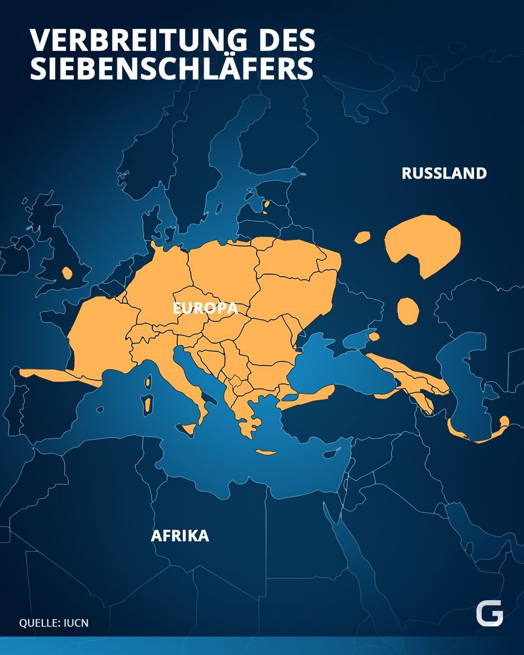 Verbreitung des Siebenschläfers: Hier kommt das Tier in Europa vor. 