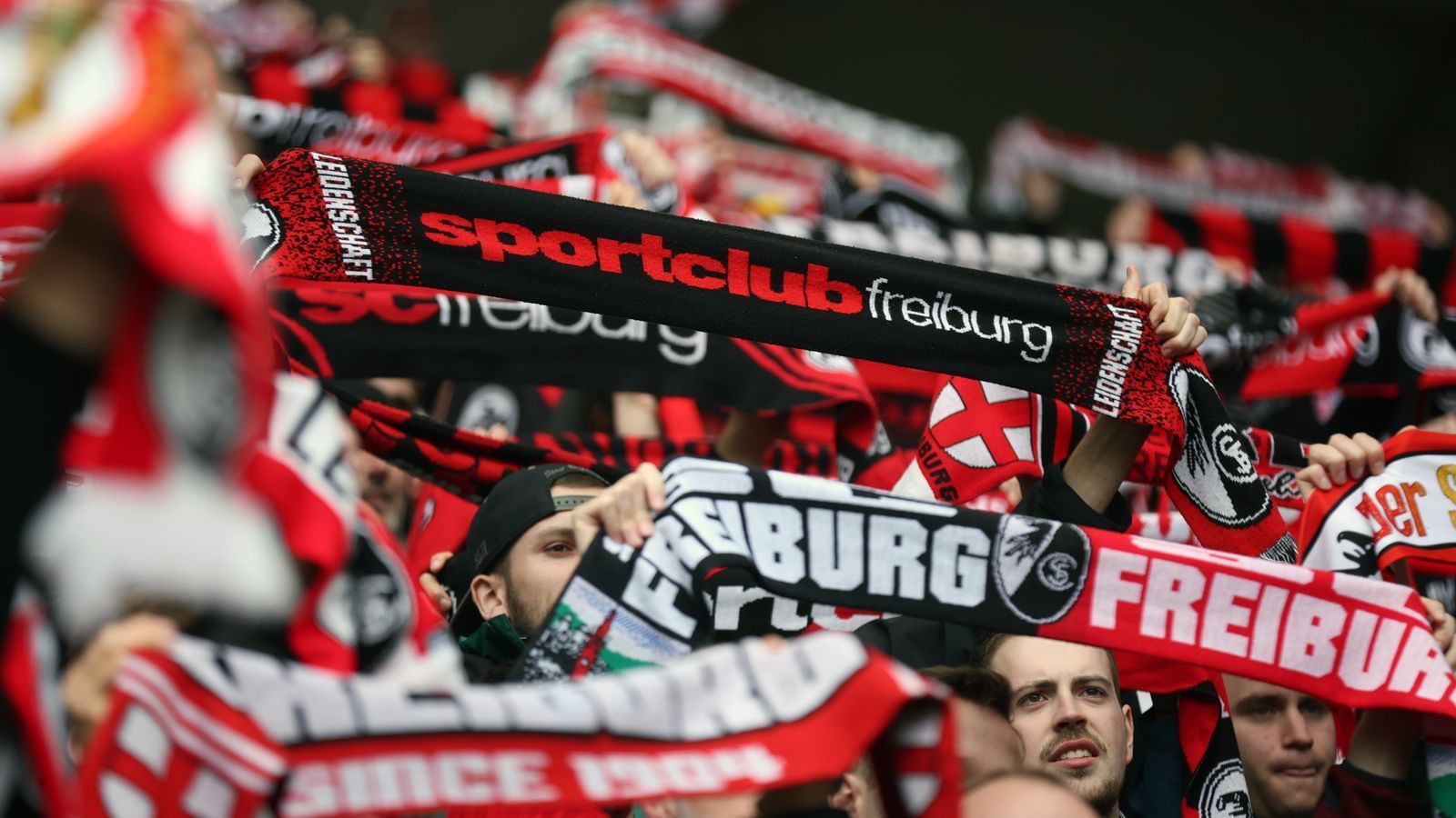 
                <strong>Platz 11 - SC Freiburg</strong><br>
                &#x2022; Durchschnittliche Anzahl an Auswärtsfans: 2.897<br>&#x2022; Höchste Anzahl an Auswärtsfahrern: 6.000 (in Frankfurt)<br>&#x2022; Niedrigste Anzahl an Auswärtsfahrern: 600 (in Leipzig)<br>
              