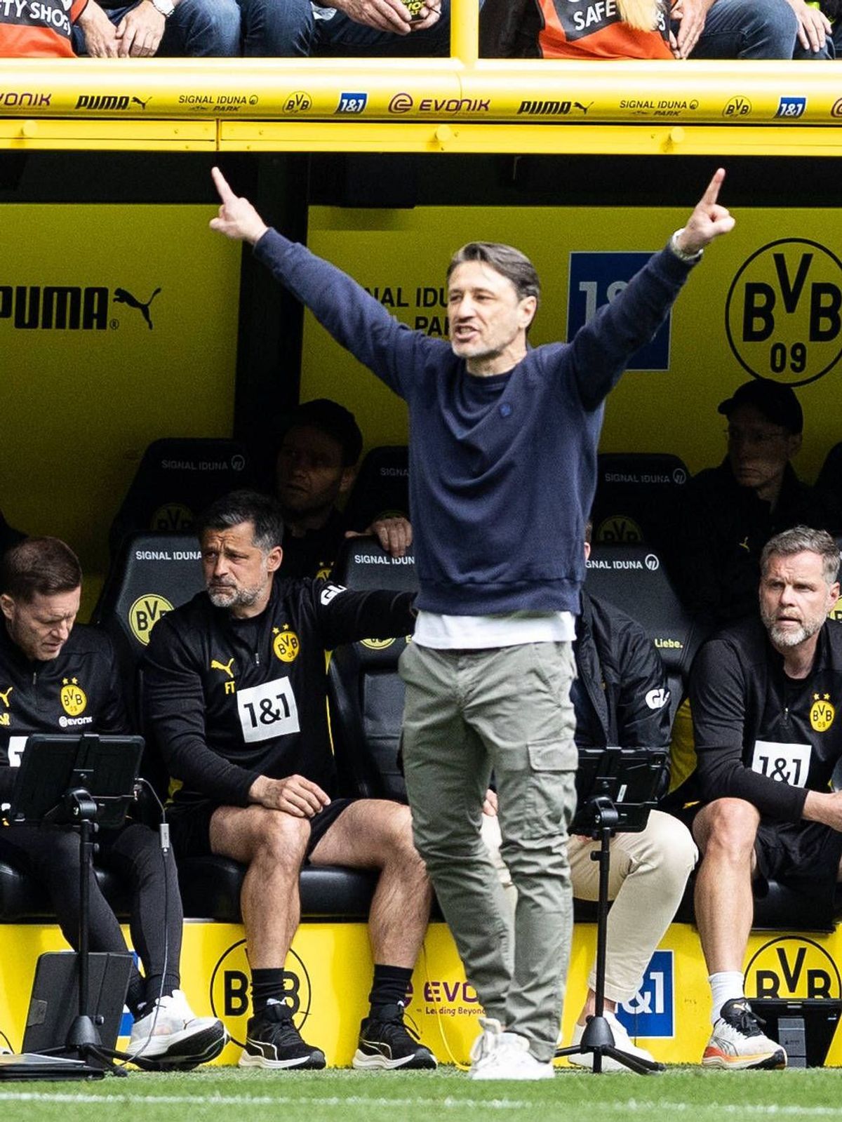 Niko Kovac (BVB)