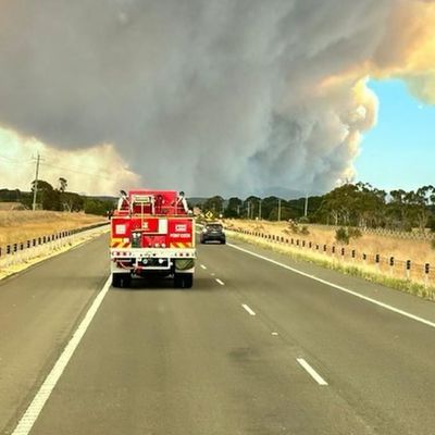 BUSHFIRES VIC