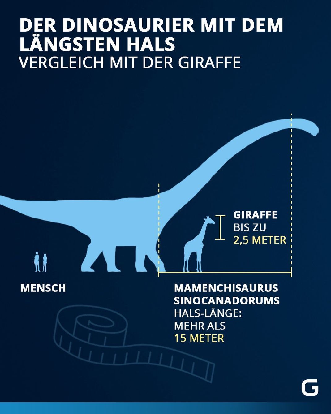Vergleich zwischen den Hälsen von dem Mamenchisaurus sinocanadorums und der Giraffe und der Durchschnittsgröße der deutschen Männer und Frauen