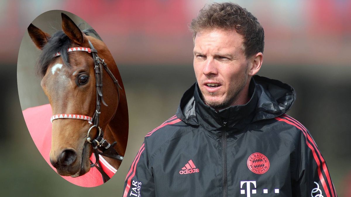 Nagelsmann Pferde