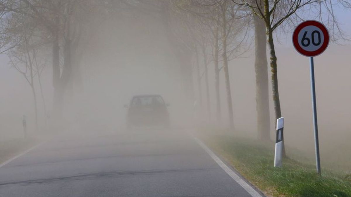 Klimaziele: Verbände setzen Bundesregierung unter Druck